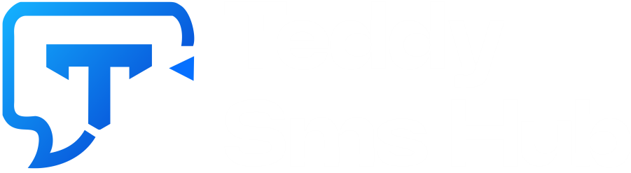 TeddySMSHub Logo